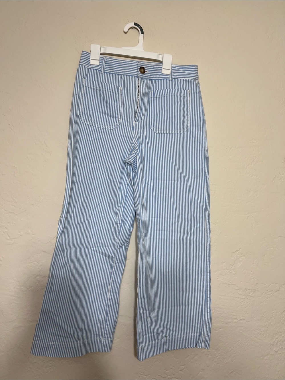 LOFT Palmer Wide-Leg Light Blue Striped Women’s Pants